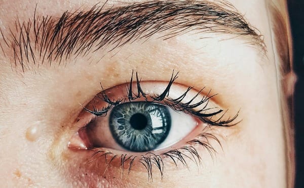 Close-up of human eye showing iris patterns and light reflections
